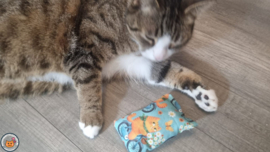 NIEUW/ Snuffelzakje Lieve Daisy(gevuld met matatabi en catnip)