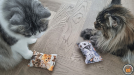 NIEUW/ 2 snuffelzakjes Knappe katten (gevuld met geurexplosie)