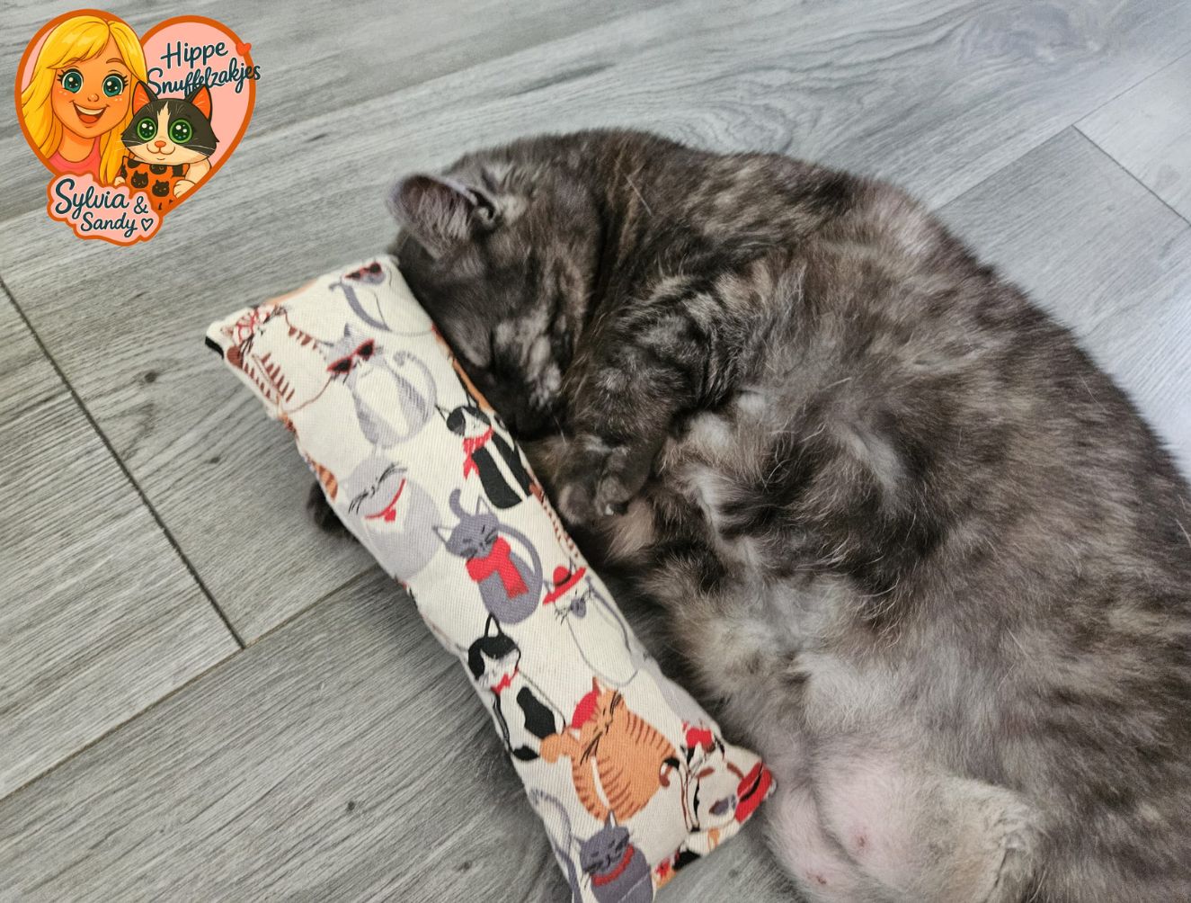 Snuffelzak Gym XXL Deftige kat(gevuld met geurexplosie)