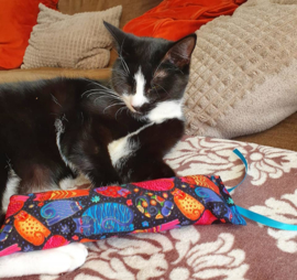 NIEUW/ Snuffelzakje gym Katten met lintjes (gevuld met geurexplosie)