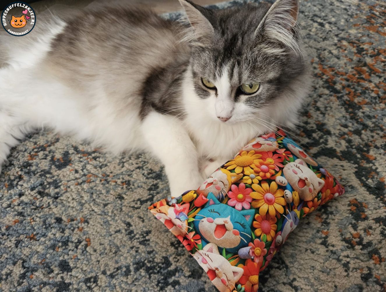GROOT KATTENSPEELGOED-Slaap/speelkussen Happycats (gevuld met geurexplosie)