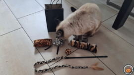 Cadeaupakket Dierendag Jungle (gevuld met catnip, matatabi en geurexplosie)