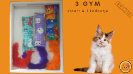 3delige Startersset snuffelzakje gym staart Verrassing + 1 cadeautje (catnip, valeriaan en matatabi)