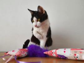 Snuffelzakjeset Happy Pink met staart en lintjes (catnip én valeriaan)