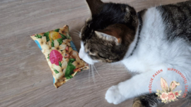 Snuffelzakje Verrassing (gevuld naar wens)+ 1 cadeautje
