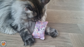 NIEUW/ Snuffelzakje Beautiful (gevuld met matatabi en catnip)