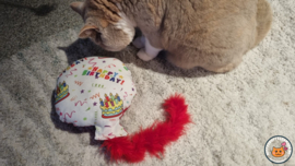 Snuffelballon Happy Birthday met staart, belletjes knisper (gevuld met catnip én valeriaan)