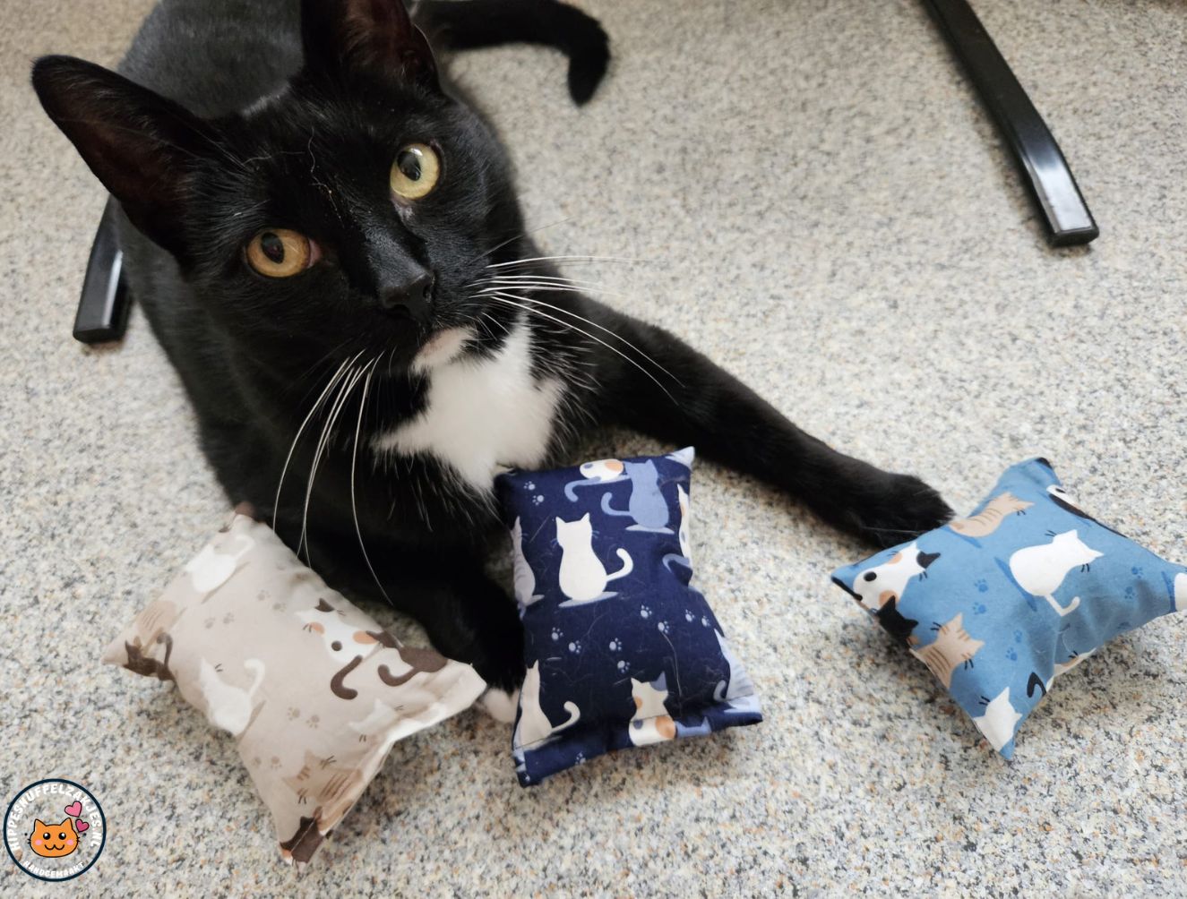 NIEUW/ 3delige Starterspakket snuffelzakjes Prachtige kat (gevuld met catnip, valeriaan en matatabi)
