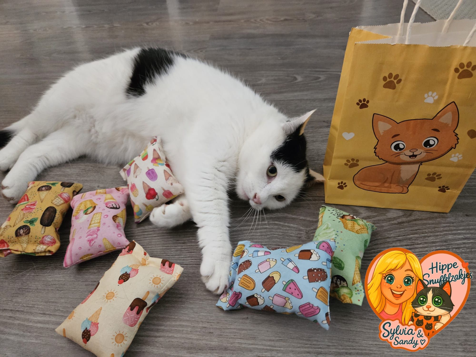 Mystery bag (gevuld  met catnip én valeriaan)