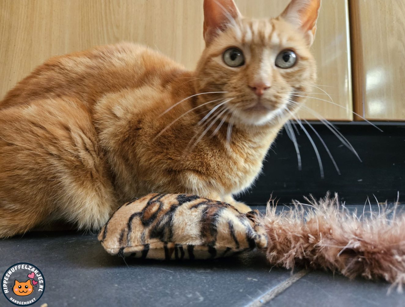 NIEUW/ Snuffelzakje  Wild animals met staart (gevuld met valeriaan)