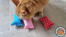 3 delige Starterspakket snuffelzakjes  Hartjes(gevuld met catnip, valeriaan en matatabi)  4 OP VOORRAAD