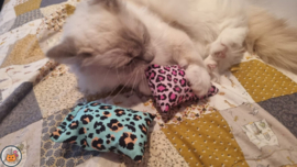 NIEUW/ 2 Snuffelzakjes Vrolijke Panter (gevuld met catnip én valeriaan)