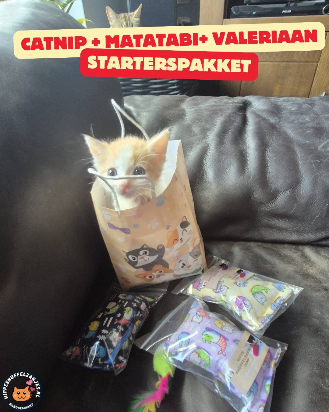 💛4delige Kittenpakket ‘Snuffel & Spel’ – Speciaal samengesteld door Catlady Sylvia 💛