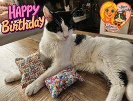 RUSTGEVEND / 2 Snuffelzakjes Verjaardag kat (gevuld met valeriaan)