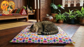 Kattenkleed met Roze Print & Vrolijke Katten – Zacht & Speels Ligplekje (50x50 cm) ZONDER GEUR