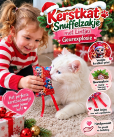 🎄😻 SNUFFELZAKJE KERSTKAT MET LINTJES– GEVULD MET GEUREXPLOSIE 😻🎄