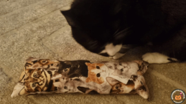 STUNTAANBIEDING MAANDAG Snuffelzak Gym XXL  Knappe kat (gevuld met catnip)