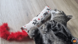 NIEUW / Snuffelzakje gym Kittylove met rode staart (gevuld met catnip)