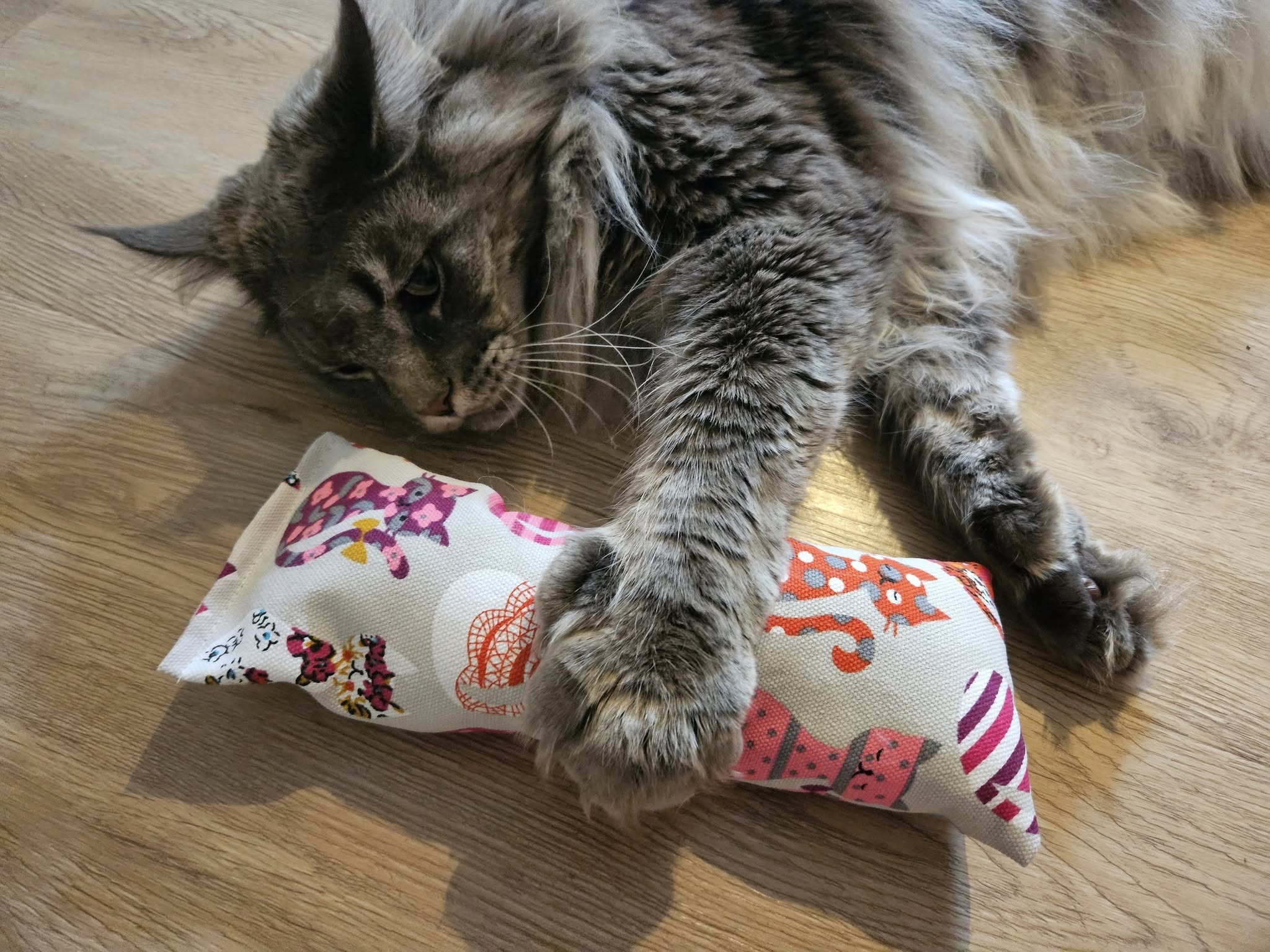 Snuffelzakje Gym XXL – Voor stoere katten met spierballen 🐾( Gevuld met geurexplosie)