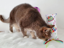 Verjaardag Snuffelzakje gym Happy Birthday met lintjes (gevuld met catnip én valeriaan)