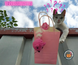 5delige Katten verrassingtas Thema roze  (geschikt voor 1 tot 4 katten)