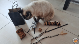 5 delige Cadeaupakket Wild animals (gevuld met catnip, valeriaan en matatabi)