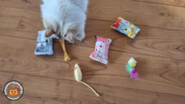 3 Snuffelzakjes Poekie Verrassing + 3 cadeautjes (gevuld met mix van catnip én valeriaan )