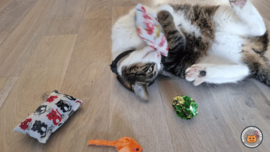 2 delige set snuffelzakjes Verrassing (gevuld met catnip en valeriaan) + 2 cadeautjes