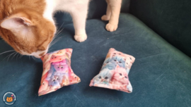 NIEUW/ 2 snuffelzakjes Fantasy cat+ roze (gevuld met matatabi)