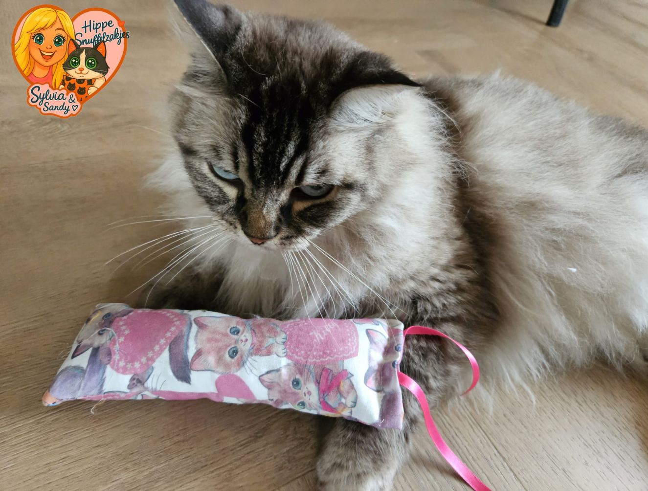 Snuffelzakje gym Lief poesje roze met lintjes (gevuld met valeriaan)