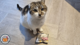 AANBIEDING/ Snuffelzakje Blije katten Roze (gevuld met geur met catnip)