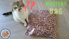 VERRASSINGSFLASH SALE  Mystery bag (gevuld  met catnip)