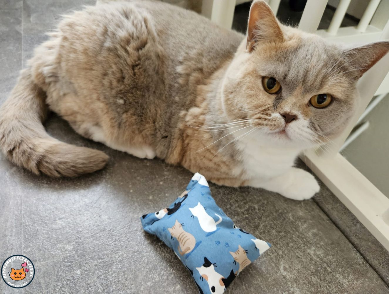 NIEUW/ Snuffelzakje prachige Kat (gevuld met catnip)