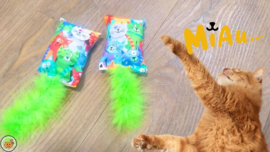 Snuffelzakje Geluid Vrolijke kat met groene staart  (gevuld met catnip, matatabi knisper)