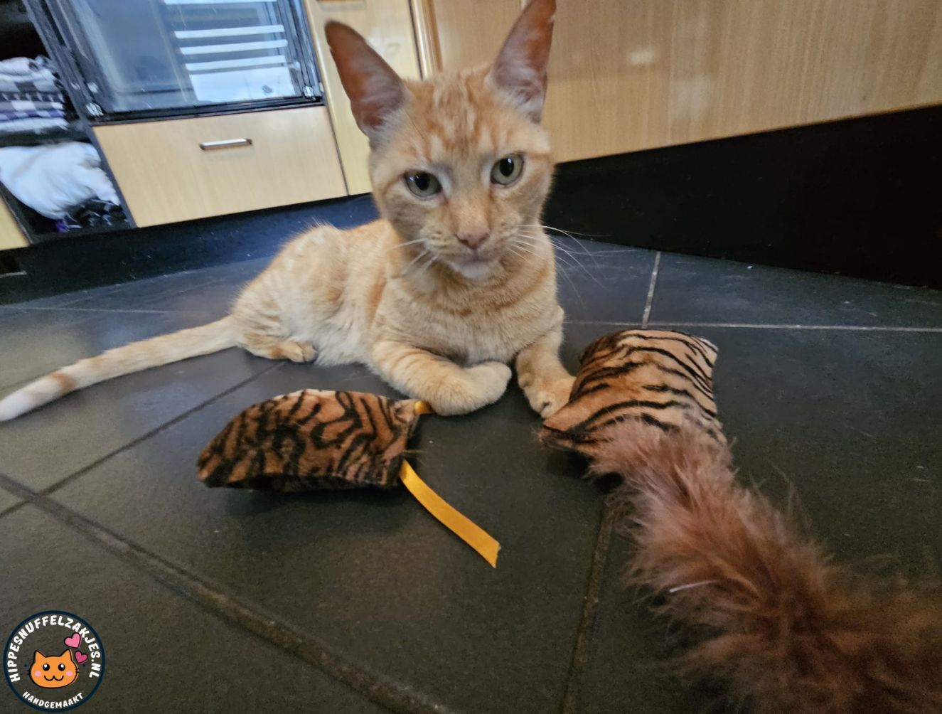 NIEUW/ 2deligeset Snuffelzakje s Wild animals met lintjes en staart (gevuld met valeriaan)