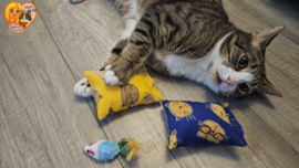 ❤️ MEEST VERKOCHT | Verrassingsset voor Katten 2 Snuffelzakjes + Cadeautje | Geurexplosie Editie