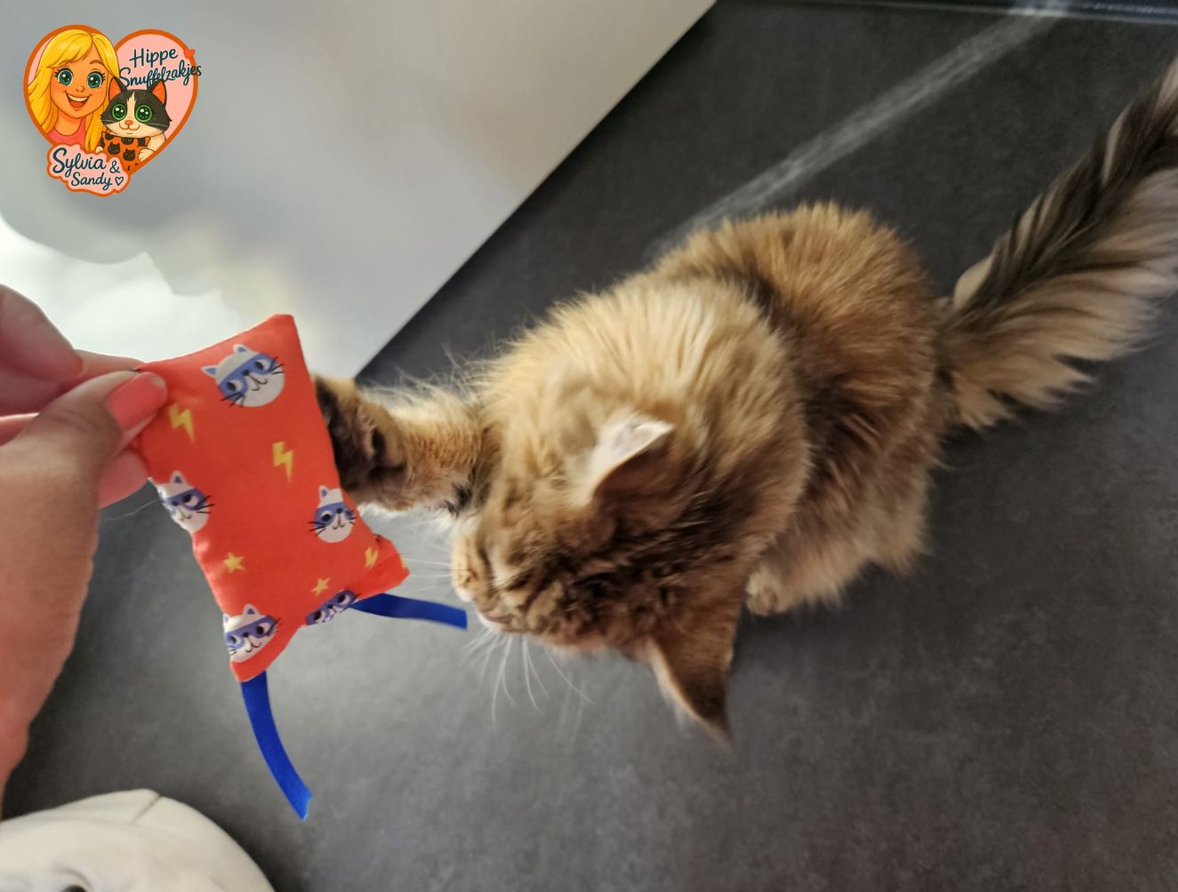 NIEUW/ Snuffelzakje Supercat met blauwe lintjes (gevuld met geurexplosie)