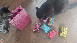 UNIEK / 6 delige kennismakkingspakket snuffelzakjes Vrolijke panter