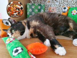 AANBIEDING🧡⚽️ WK Voetbal Mystery Bag voor katten 😻