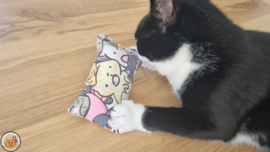 AANBIEDING/ Snuffelzakje Blije katten Roze (gevuld met geur met catnip)