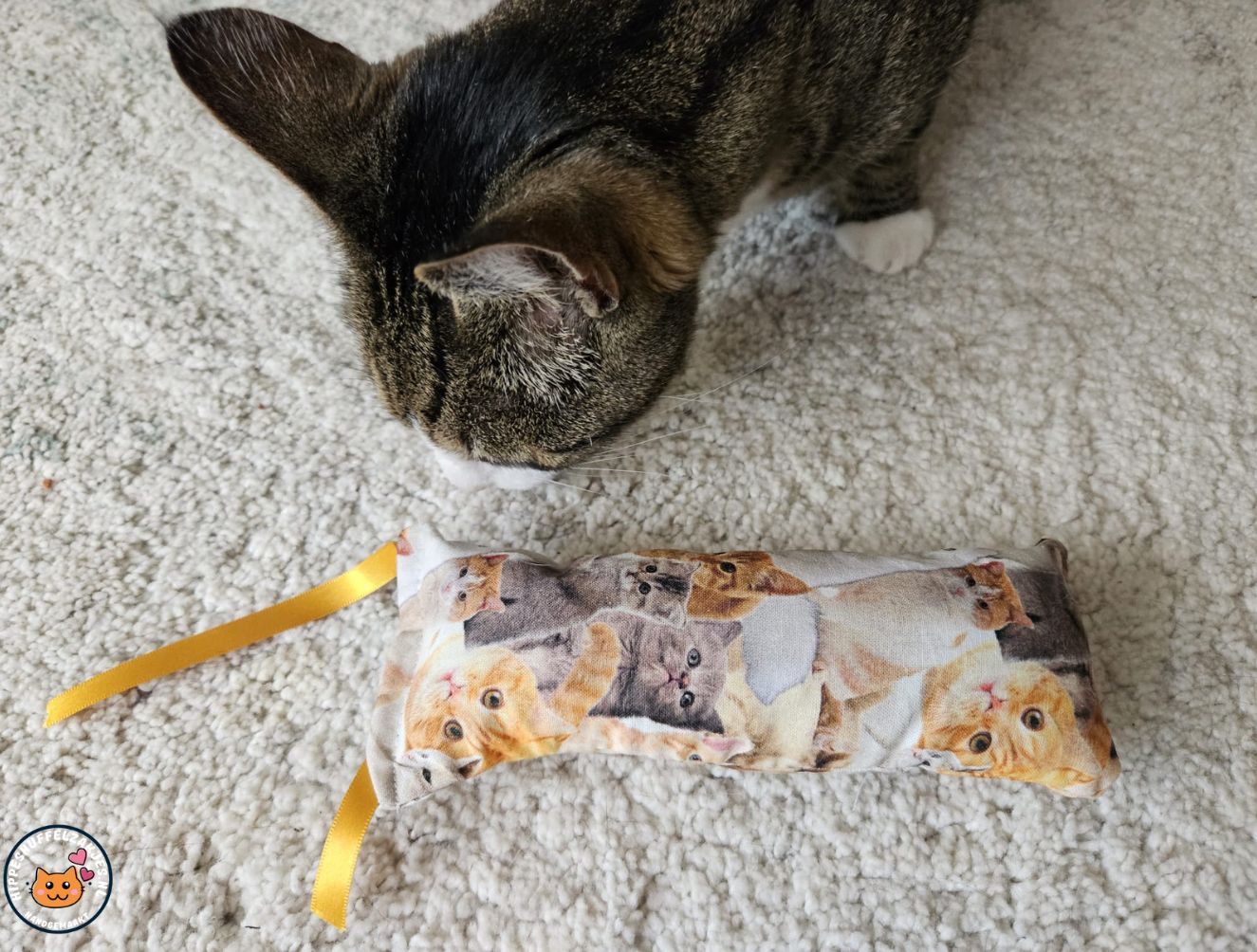 Snuffelzakje gym Happy cat met lintjes (gevuld met matatabi)