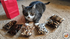 UNIEK 6 VERSCHILLENDE GEUREN / 6 delige kennismakkingspakket snuffelzakjes Wild animals