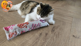 Snuffelzakje Gym XXL โ Voor stoere katten met spierballen ๐พ( Gevuld met geurexplosie)