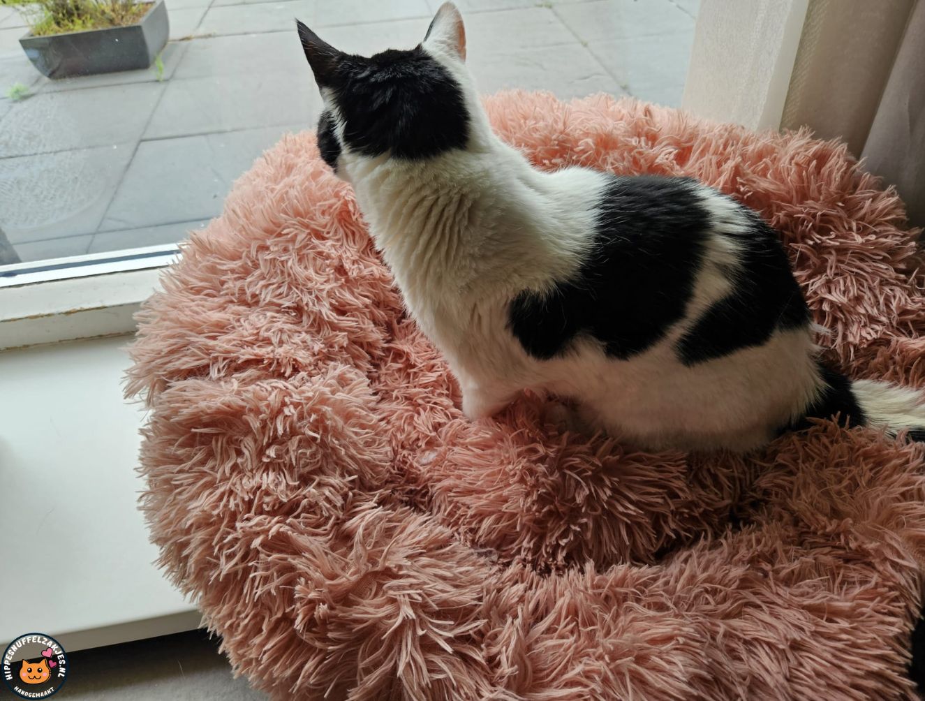 Roze zachte kattenmand – 60 cm