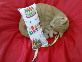 Verjaardag Snuffelzakje gym Happy Birthday met lintjes (gevuld met catnip )
