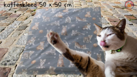 Kattenkleed Misty  50x50 (geur naar wens) 1 OP VOORRAAD