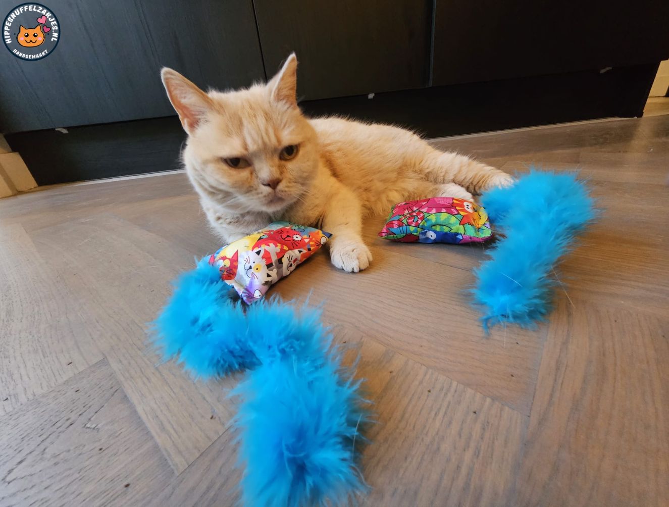 Snuffelzakje Geluid Vrolijke kat met blauwe staart  (gevuld met catnip, matatabi knisper)
