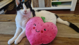 STUNTVERKOOP Roze Snuffelaardbei (gevuld met valeriaan)
