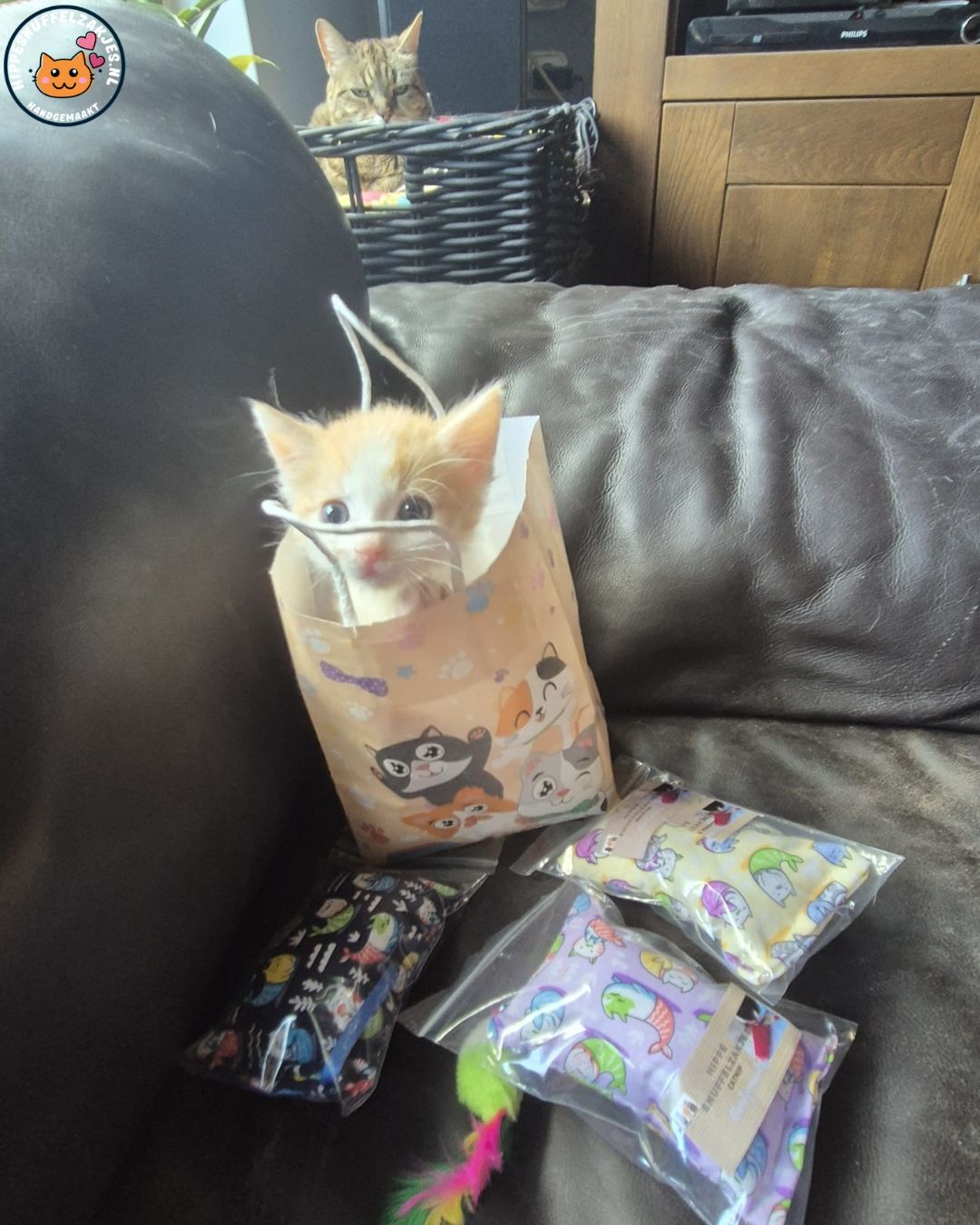 💛4delige Kittenpakket ‘Snuffel & Spel’ – Speciaal samengesteld door Catlady Sylvia 💛