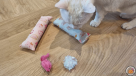 2 delige set snuffelzakjes gym Zoete kat (gevuld met catnip ) + 2 cadeautjes